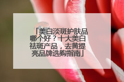 美白淡斑护肤品哪个好？十大美白祛斑产品，去黄提亮品牌选购指南