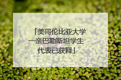 美哥伦比亚大学一亲巴勒斯坦学生代表已获释