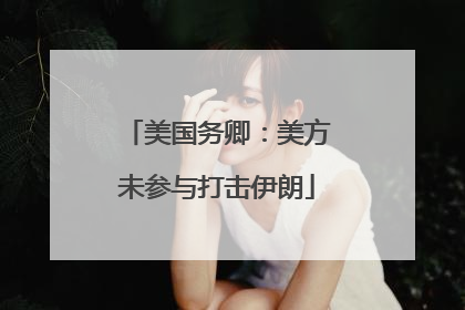 美国务卿：美方未参与打击伊朗