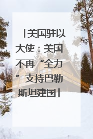 美国驻以大使：美国不再“全力”支持巴勒斯坦建国