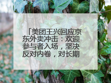 美团王兴回应京东外卖冲击：欢迎参与者入场，坚决反对内卷，对长期很有信心
