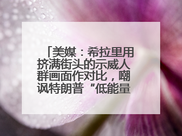 美媒：希拉里用挤满街头的示威人群画面作对比，嘲讽特朗普“低能量”阅兵式观众少