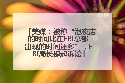 美媒：被称“泡夜店的时间比在FBI总部出现的时间还多”，FBI局长提起诉讼