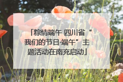 粽情端午 四川省“我们的节日·端午”主题活动在南充启动