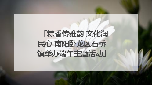 粽香传雅韵 文化润民心 南阳卧龙区石桥镇举办端午主题活动