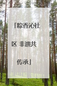 粽香沁社区 非遗共传承