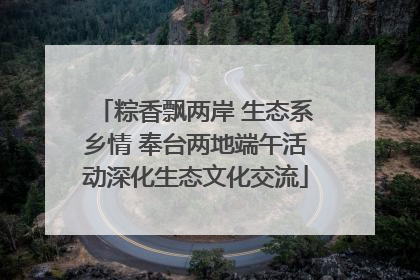 粽香飘两岸 生态系乡情 奉台两地端午活动深化生态文化交流