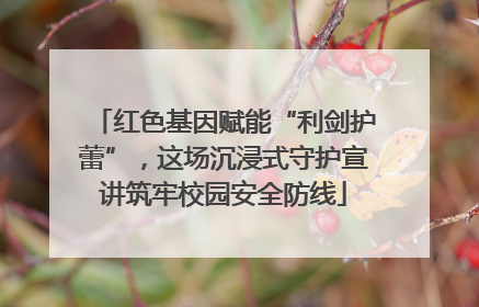 红色基因赋能“利剑护蕾”，这场沉浸式守护宣讲筑牢校园安全防线