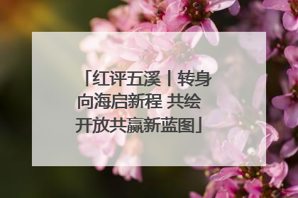红评五溪丨转身向海启新程 共绘开放共赢新蓝图
