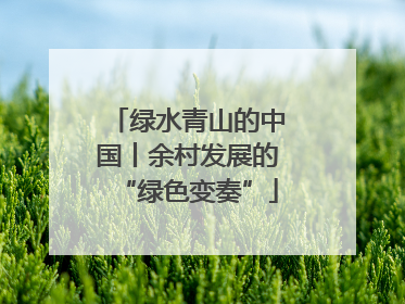 绿水青山的中国丨余村发展的“绿色变奏”