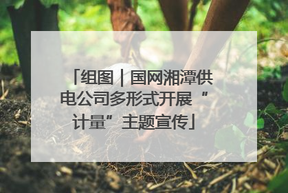 组图｜国网湘潭供电公司多形式开展“计量”主题宣传