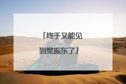 终于又能见到樊振东了
