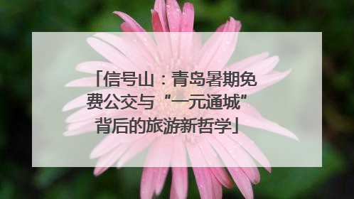信号山：青岛暑期免费公交与“一元通城”背后的旅游新哲学