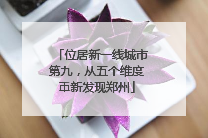 位居新一线城市第九，从五个维度重新发现郑州