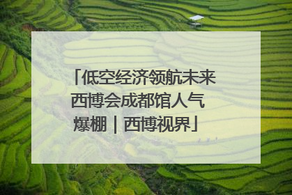 低空经济领航未来 西博会成都馆人气爆棚｜西博视界