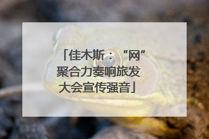 佳木斯：“网” 聚合力奏响旅发大会宣传强音