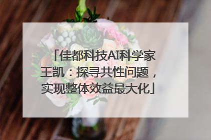 佳都科技AI科学家王凯：探寻共性问题，实现整体效益最大化