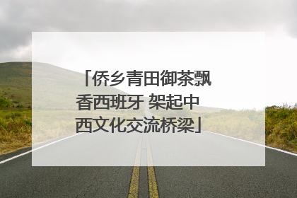 侨乡青田御茶飘香西班牙 架起中西文化交流桥梁