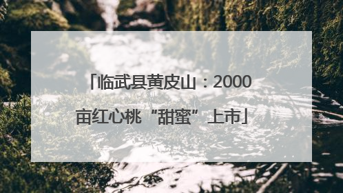 临武县黄皮山：2000亩红心桃“甜蜜”上市