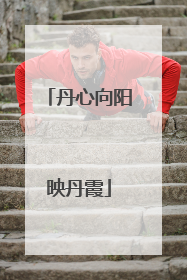 丹心向阳映丹霞