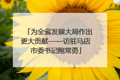 为全省发展大局作出更大贡献——访驻马店市委书记鲍常勇
