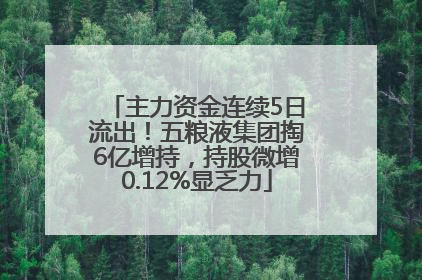 主力资金连续5日流出！五粮液集团掏6亿增持，持股微增0.12%显乏力