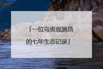 一位鸟类观测员的七年生态记录