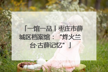 一馆一品丨枣庄市薛城区档案馆：“烽火兰台·古薛记忆”