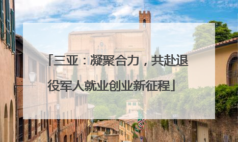 三亚：凝聚合力，共赴退役军人就业创业新征程