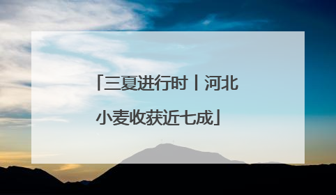 三夏进行时丨河北小麦收获近七成