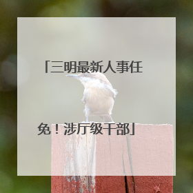 三明最新人事任免！涉厅级干部