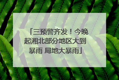 三预警齐发！今晚起湘北部分地区大到暴雨 局地大暴雨