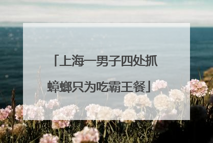 上海一男子四处抓蟑螂只为吃霸王餐