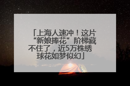 上海人速冲！这片“新娘捧花”阶梯藏不住了，近5万株绣球花如梦似幻