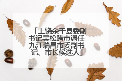 上饶余干县委副书记吴松跨市调任九江瑞昌市委副书记、市长候选人
