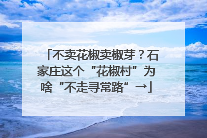 不卖花椒卖椒芽？石家庄这个“花椒村”为啥“不走寻常路”→