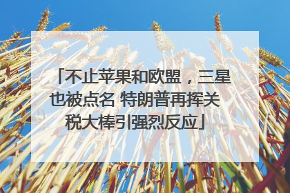 不止苹果和欧盟，三星也被点名 特朗普再挥关税大棒引强烈反应
