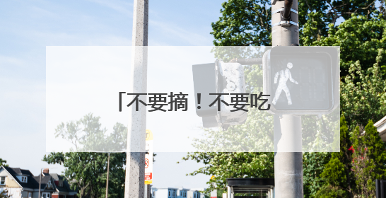 不要摘！不要吃！杭州街头正大量出现紫叶李