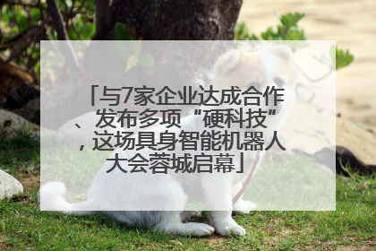与7家企业达成合作、发布多项“硬科技”，这场具身智能机器人大会蓉城启幕