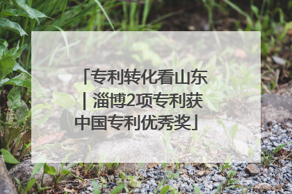 专利转化看山东｜淄博2项专利获中国专利优秀奖