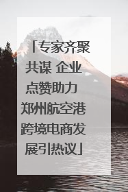专家齐聚共谋 企业点赞助力 郑州航空港跨境电商发展引热议