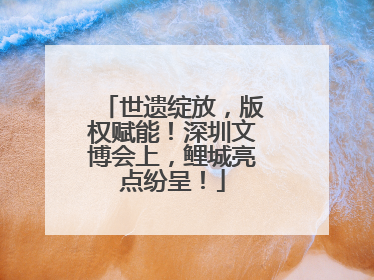 世遗绽放，版权赋能！深圳文博会上，鲤城亮点纷呈！