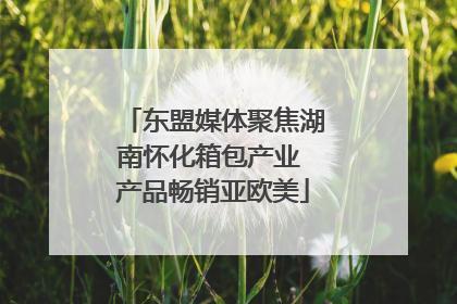 东盟媒体聚焦湖南怀化箱包产业 产品畅销亚欧美