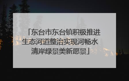 东台市东台镇积极推进生态河道整治实现河畅水清岸绿景美新愿景