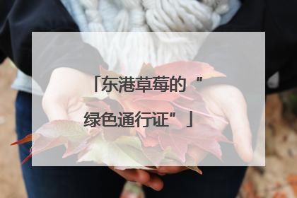 东港草莓的“绿色通行证”