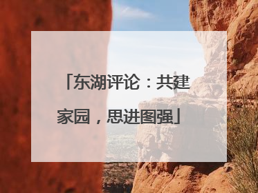 东湖评论：共建家园，思进图强
