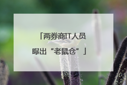 两券商IT人员曝出“老鼠仓”