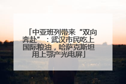 中亚班列带来“双向奔赴”：武汉市民吃上国际粮油，哈萨克斯坦用上鄂产光电屏