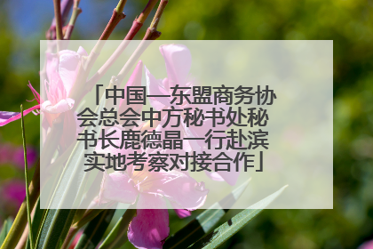 中国—东盟商务协会总会中方秘书处秘书长鹿德晶一行赴滨实地考察对接合作