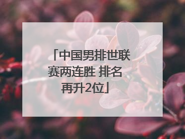 中国男排世联赛两连胜 排名再升2位